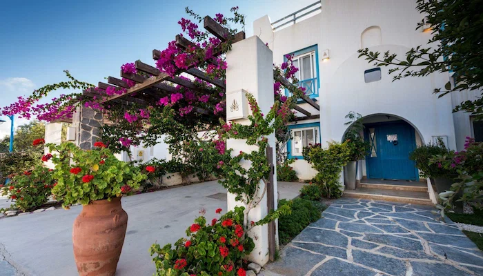 ماونتن فيو راس الحكمة