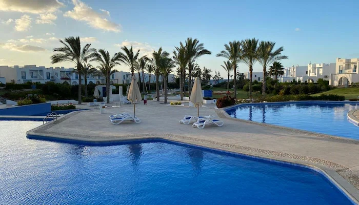 ماونتن فيو راس الحكمة